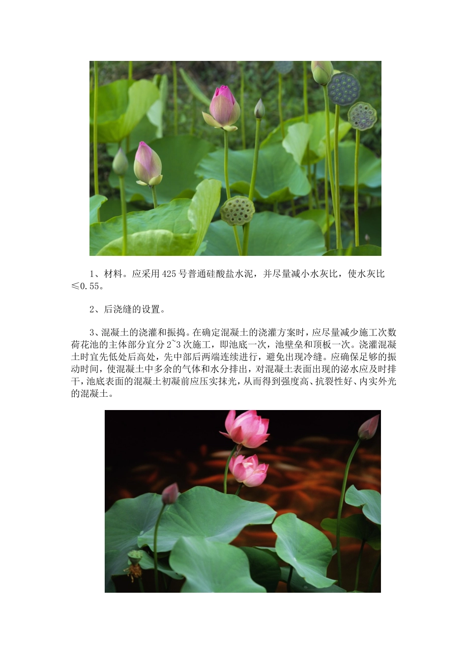 六月荷花池施工案例实记_第2页