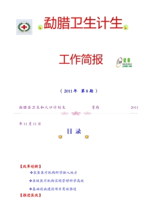 勐腊卫生第8期工作简报