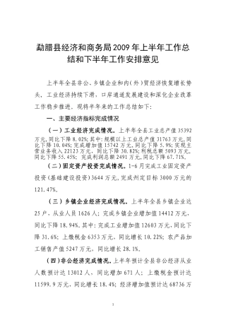 勐腊县经济和商务局2009年上半年工作总结和下半年工作...