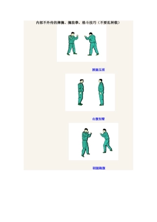 内部不外传的摔擒