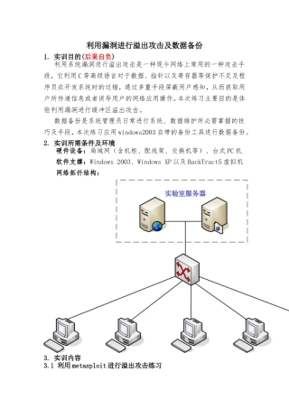 利用漏洞进行溢出攻击及数据备份