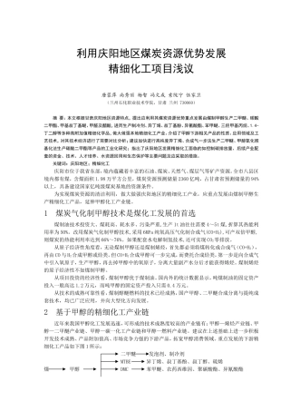 利用庆阳地区煤炭资源优势发展精细化工项目的建议