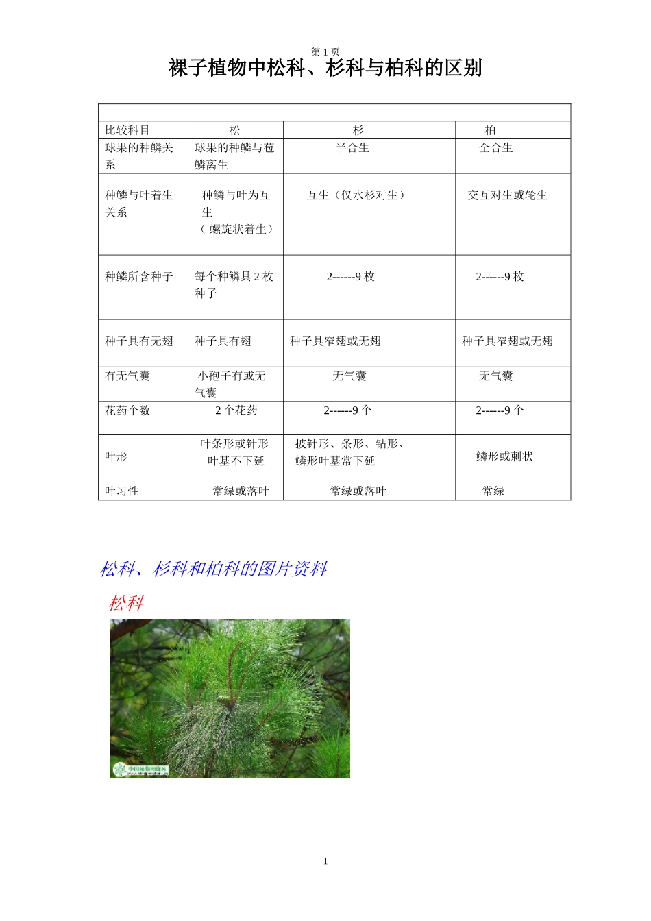 列表比较松、杉、柏三科的区别_第1页