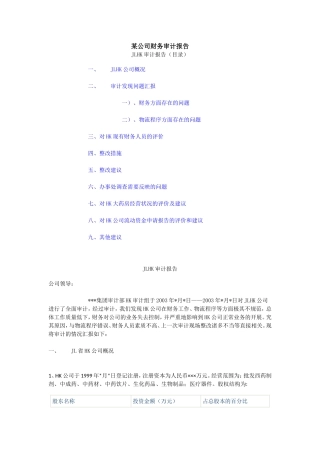 内部审计报告范文