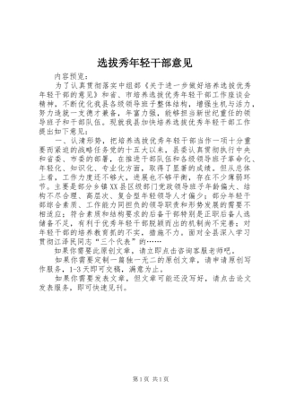 选拔秀年轻干部意见