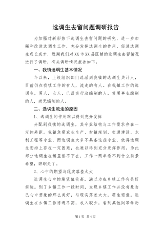 选调生去留问题调研报告