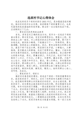 选派村书记心得体会