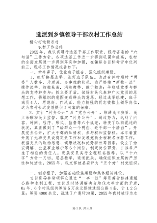 选派到乡镇领导干部农村工作总结