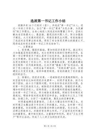 选派第一书记工作小结