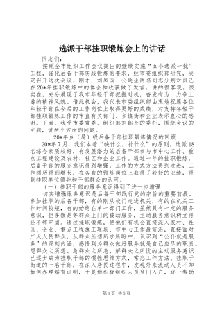 选派干部挂职锻炼会上的致辞