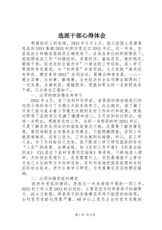 选派干部心得体会