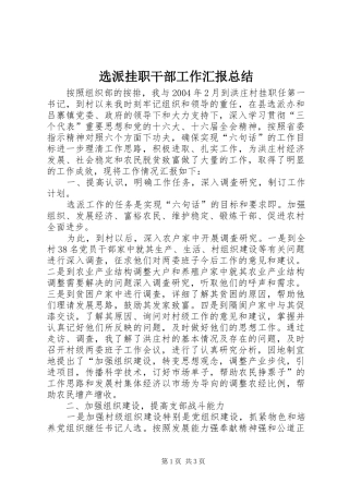 选派挂职干部工作汇报总结