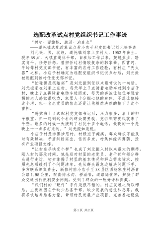 选配改革试点村党组织书记工作事迹