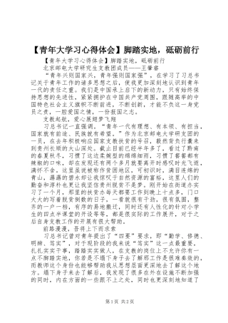 青年大学习心得体会脚踏实地，砥砺前行