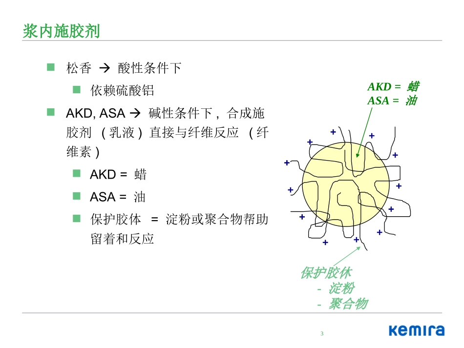 ASA培训资料_第3页