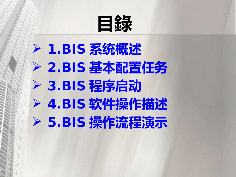 bis客户端操作手册_第2页