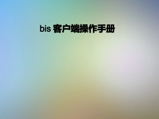 bis客户端操作手册