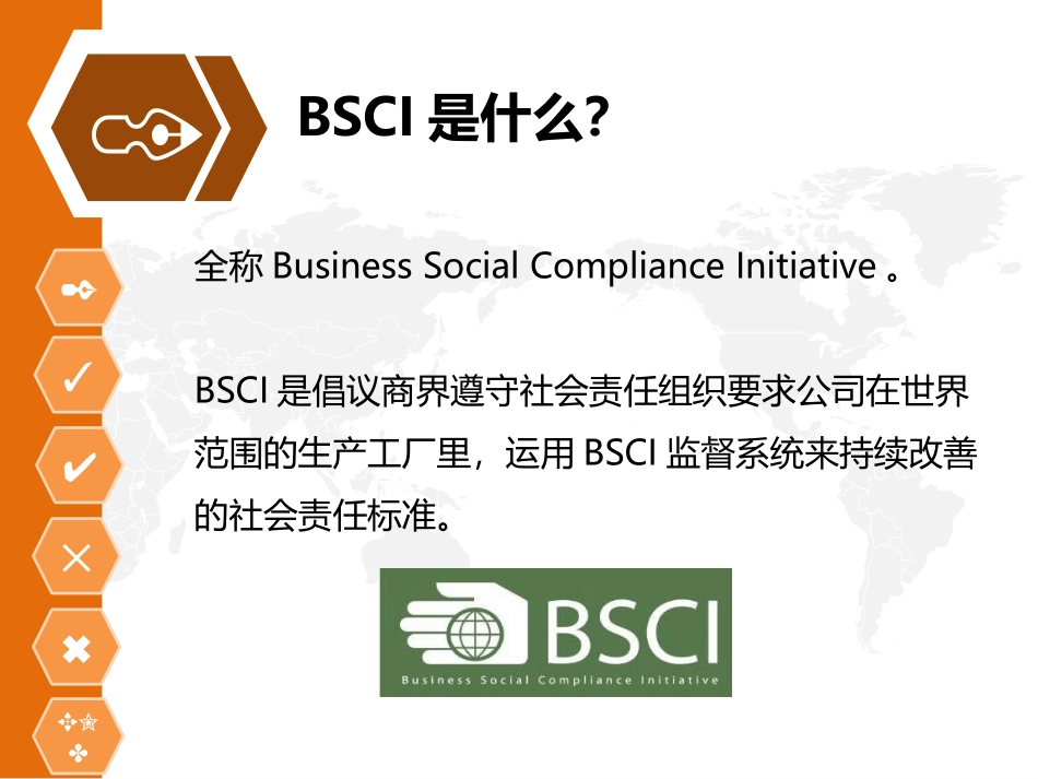BSCI培训资料_第3页