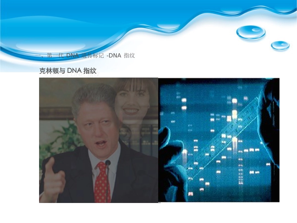 DNA遗传标记简介_第3页