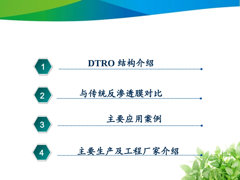 DTRO膜简介_第2页