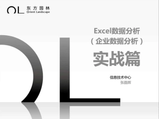 Excel数据分析企业数据分析实战篇