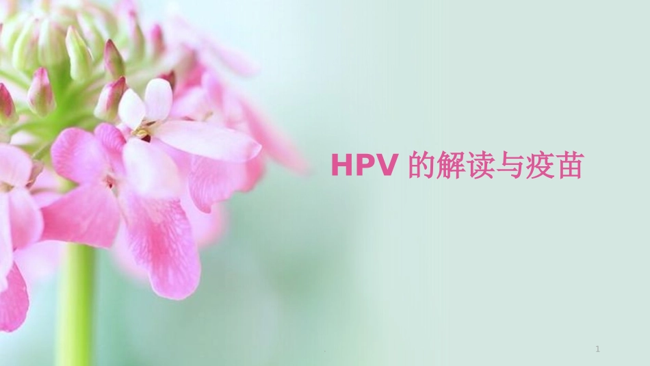 HPV的解读与疫苗_第1页