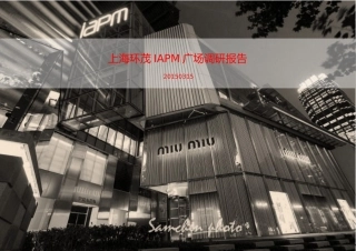 IAPM调研报告