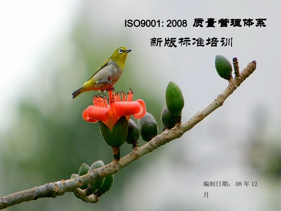 ISO9001新版培训资料_第1页