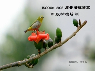 ISO9001新版培训资料