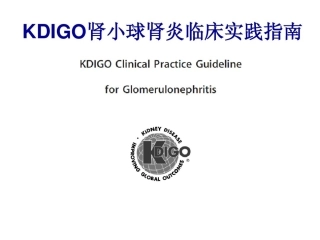 KIDGO肾小球肾炎临床指南