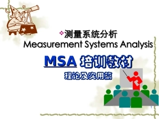 MSA理论及实用培训教程