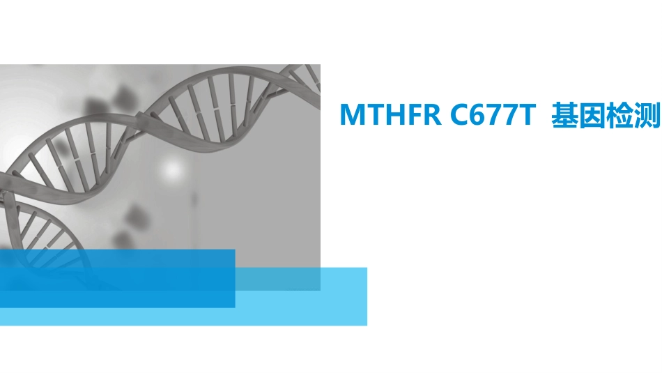 MTHFR-C677T-基因检测综合_第1页