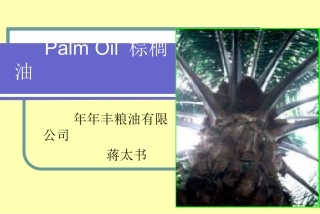 PALMOIL培训资料