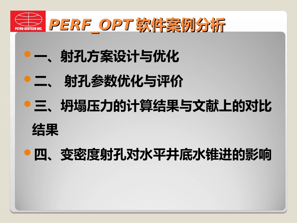 PERFOPT案例分析_第2页