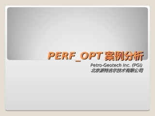 PERFOPT案例分析