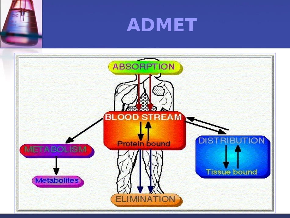 Pharmacinetic课件_第3页