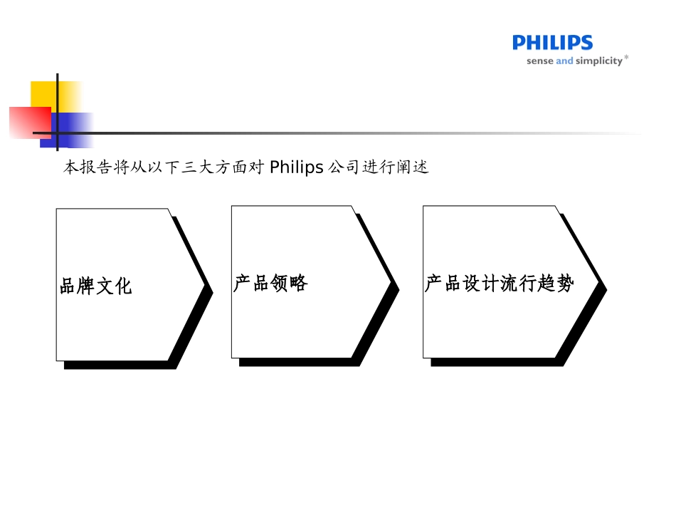 Philips调研报告_第2页