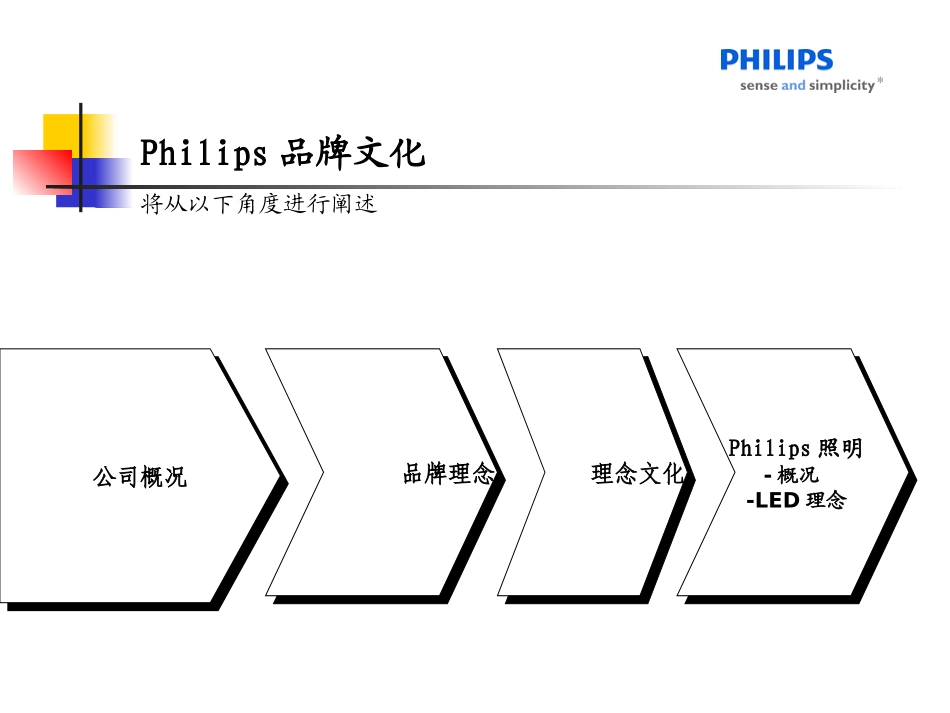 Philips调研报告_第3页
