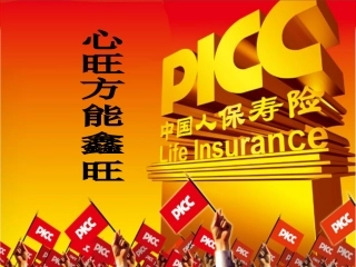 PICC案例的全面分析
