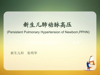 PPHN课件