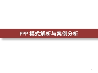 PPP模式解析与案例分析