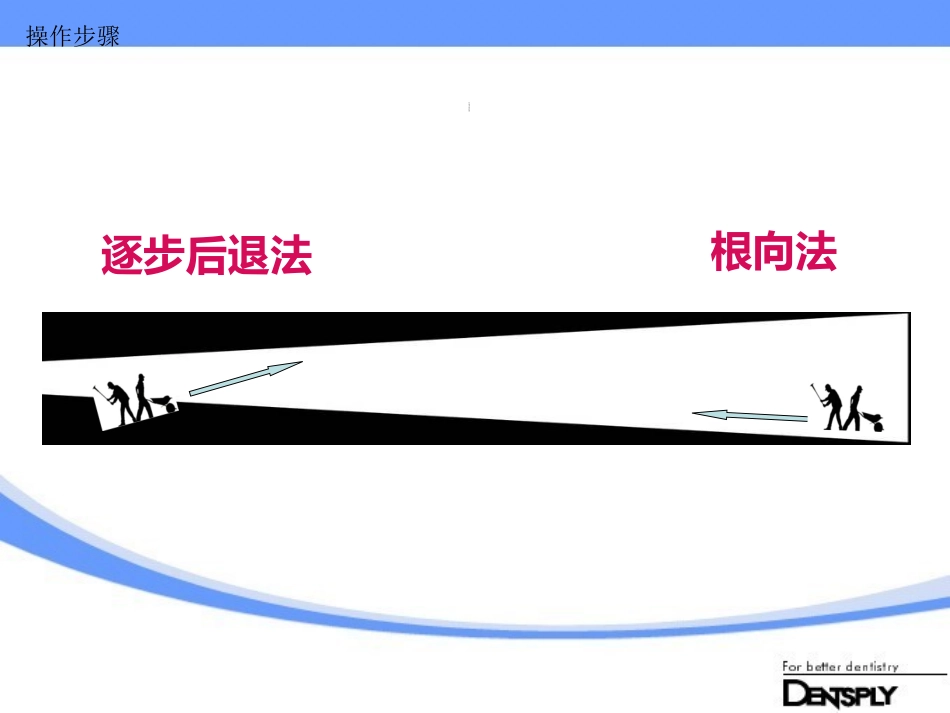 Protaper应用指南_第3页