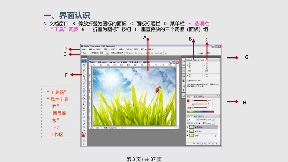 PS入门基础知识精讲课件_第3页