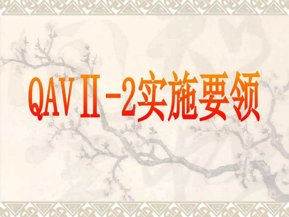 QAV实施培训资料_第3页