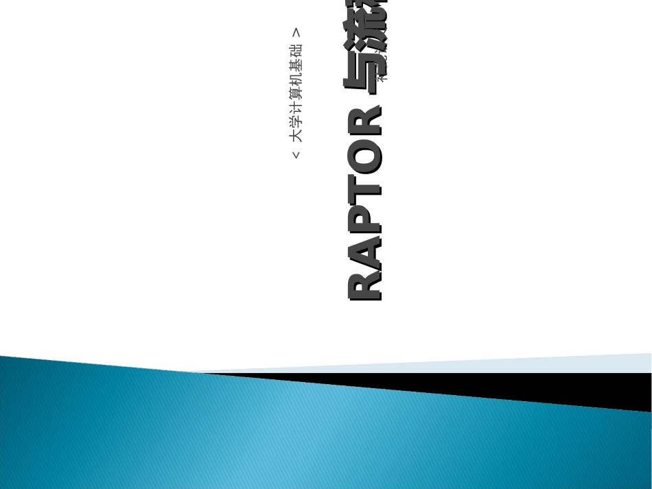 RAPTOR与流程图_第1页