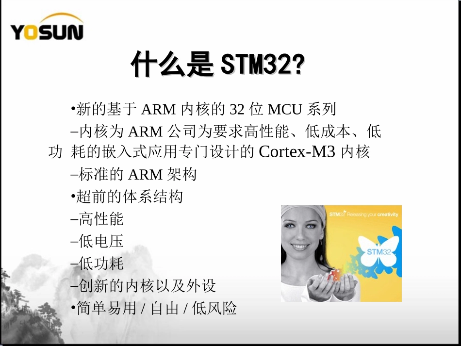 STCortex培训资料_第2页