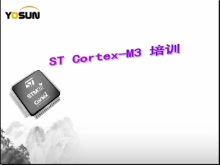 STCortex培训资料