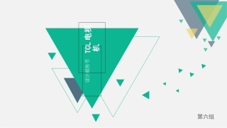 TCL电视机调研设计报告
