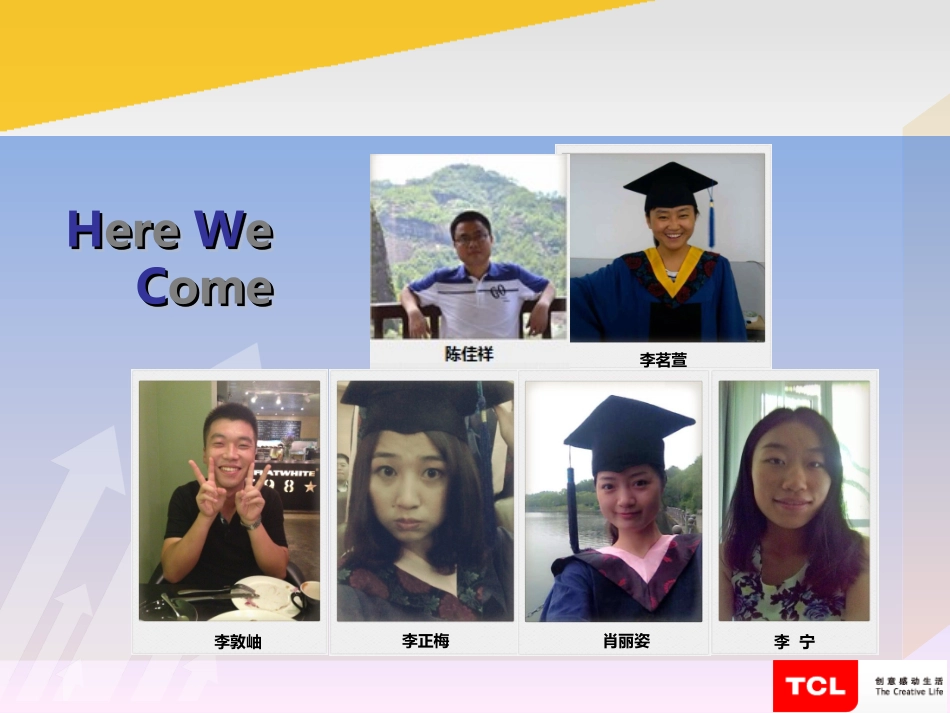 TCL分析报告_第2页