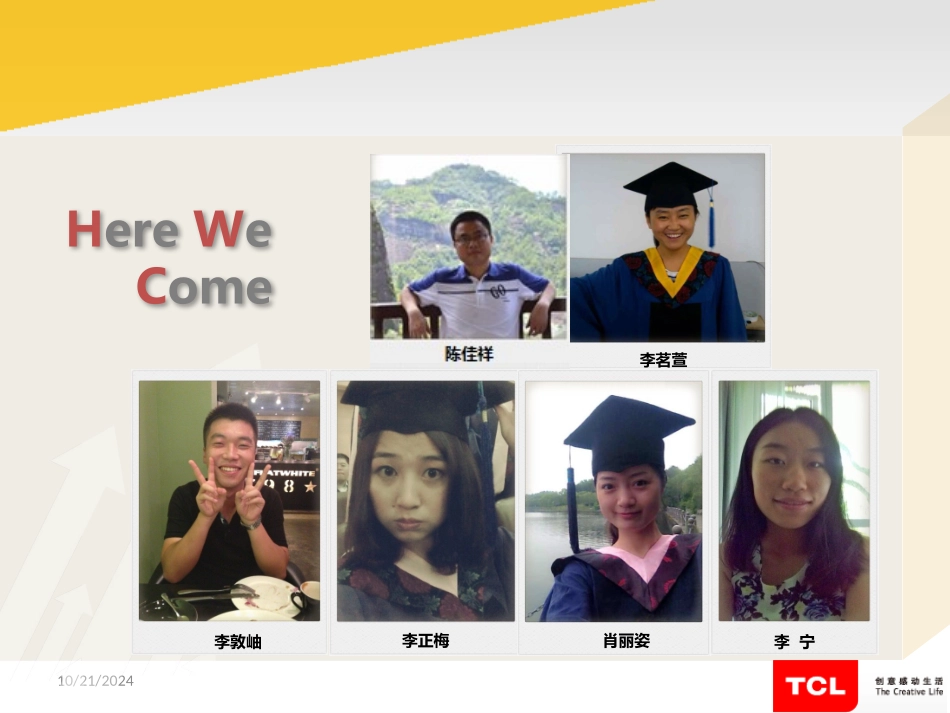 TCL分析报告总结_第2页